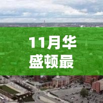 daxuefenfei 第13页