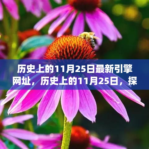 bangdachutouniao 第14页