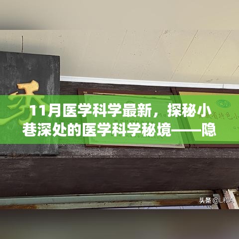 niaofuweichao 第13页