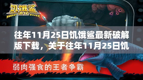 xueerbuyan 第14页
