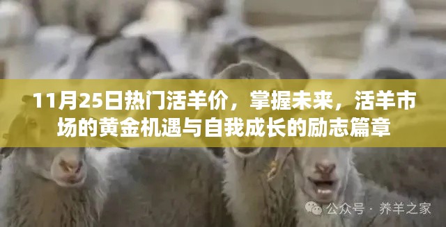 lianlianbushe 第14页