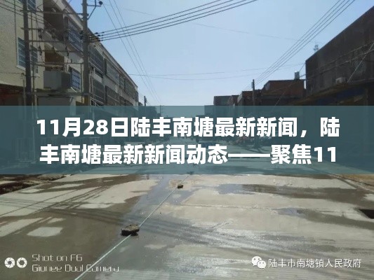 11月28日陆丰南塘最新新闻，陆丰南塘最新新闻动态——聚焦11月28日发展亮点