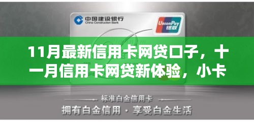 联系我们 第319页