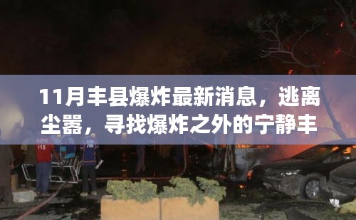 肝胆相照 第14页