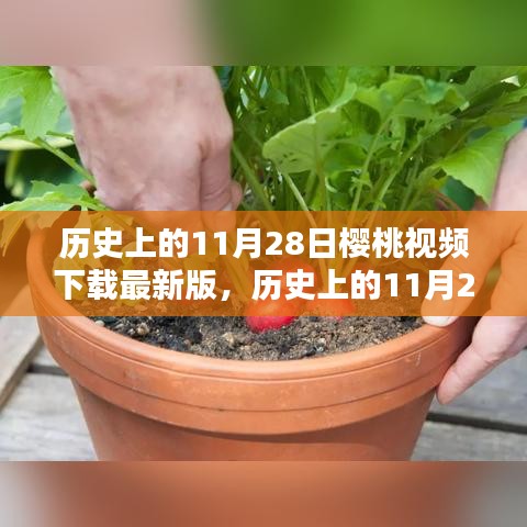 滔滔不绝 第12页