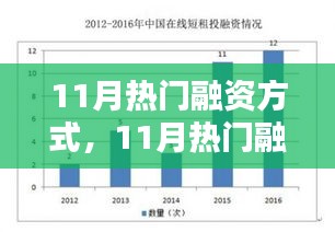 11月热门融资方式全面解析，深度评测、特性体验、竞品对比及用户群体洞察