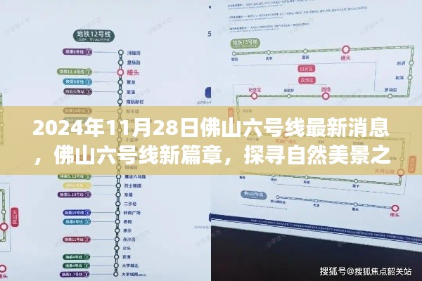 新闻资讯 第317页