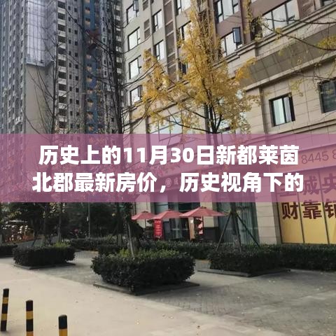 niaorufanlong 第13页