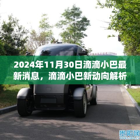 2024年滴滴小巴最新动态与展望，新动向解析与观点探讨