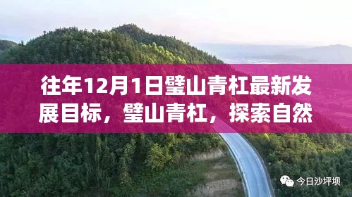 璧山青杠，探索自然美景，追寻内心平静与力量的最新发展目标之路