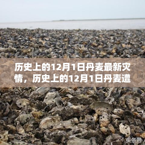 历史上的12月1日丹麦重大灾情回顾与最新灾况关注
