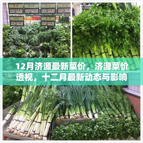 济源菜价透视，十二月最新动态与影响分析