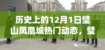 12月1日璧山凤凰城科技动态深度解析，高科技产品引领生活革新