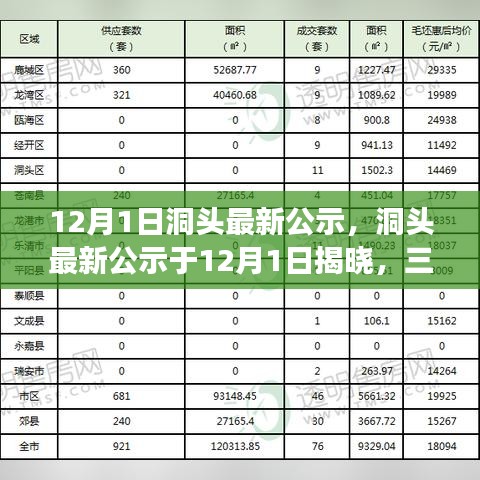 洞头最新公示揭晓，三大要点深度解读（12月1日）