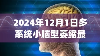 2024年小脑型萎缩最新治疗系统全面解读与评测