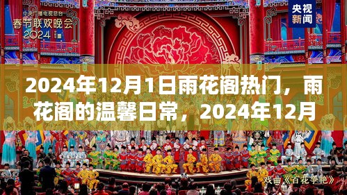 雨花阁温馨日常，奇妙时光记录下的温馨瞬间（2024年12月1日）