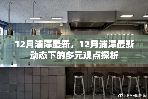 12月浦淳最新，12月浦淳最新动态下的多元观点探析