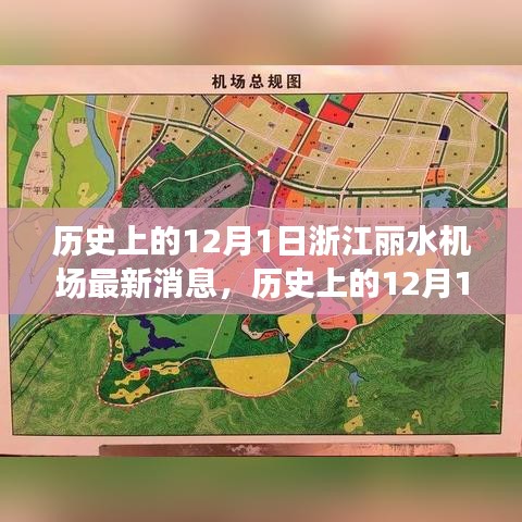 bufeizeyi 第13页