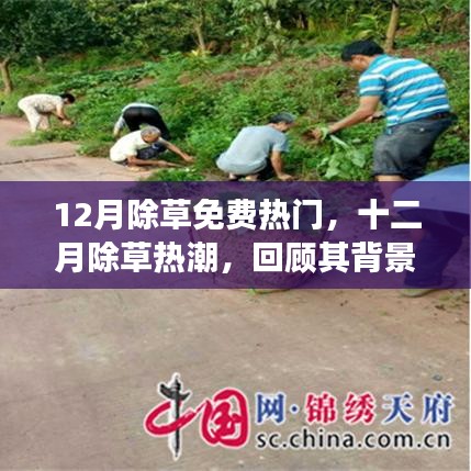 十二月除草热潮，背景、事件、影响与时代地位回顾