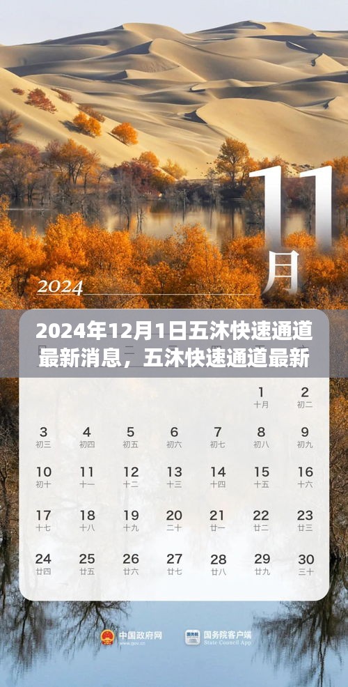 五沐快速通道最新进展及观点探讨（2024年12月1日更新）