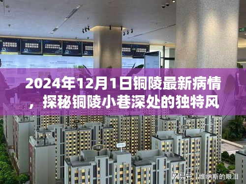 探秘铜陵小巷深处的独特风情，疫情之下隐藏的特色小店见闻（最新疫情资讯更新至2024年）