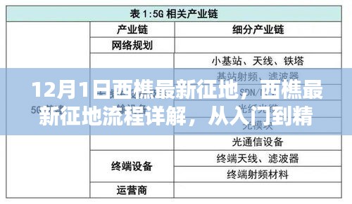 西樵最新征地详解，从入门到精通的步骤指南（初学者与进阶用户必读）