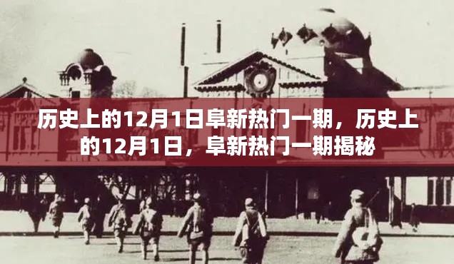 juanniaosigui 第13页
