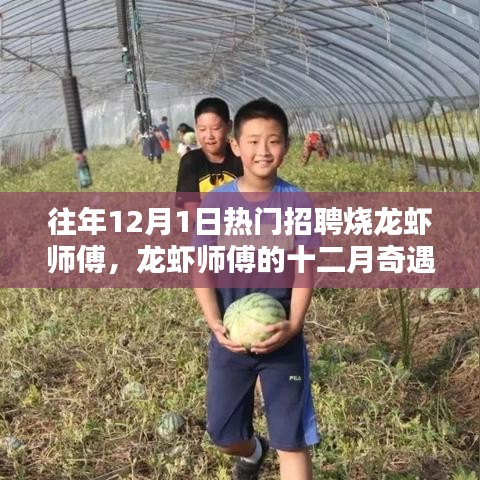 十二月龙虾师傅的奇遇，热灶旁的友情与爱