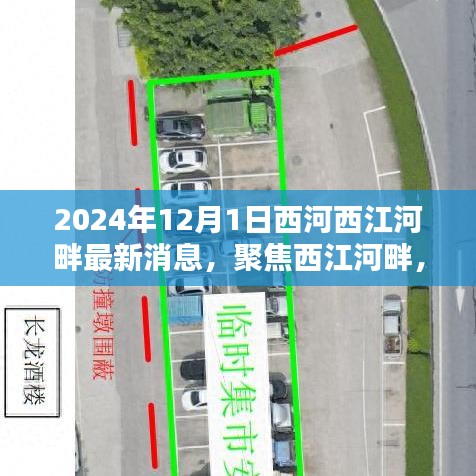 聚焦西江河畔，多元观点下的最新动态探析（2024年12月1日）