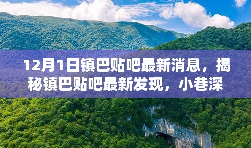 镇巴贴吧最新揭秘，小巷深处的独特小店，冬日风情别样领略！