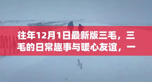 三毛的日常趣事与暖心友谊，温馨冬日的回忆