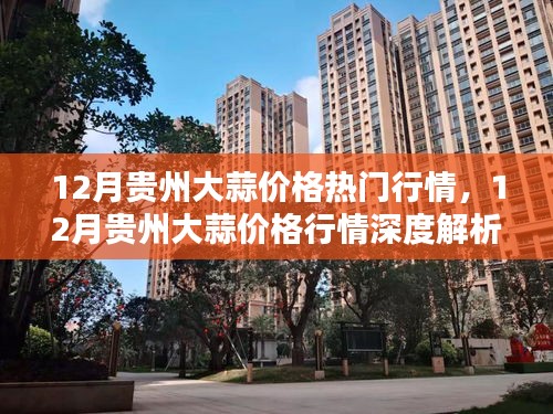 深度解析，贵州大蒜市场12月行情及价格走势