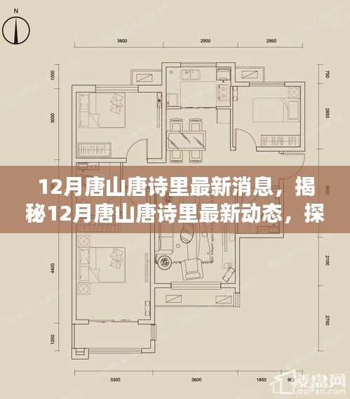 juewujinyou 第12页