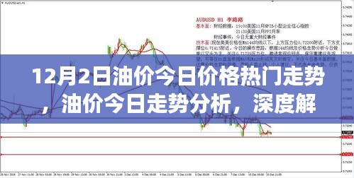 12月2日油价今日价格热门走势，油价今日走势分析，深度解读与竞品对比