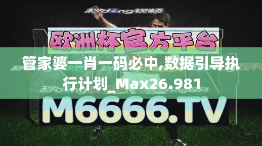 管家婆一肖一码必中,数据引导执行计划_Max26.981