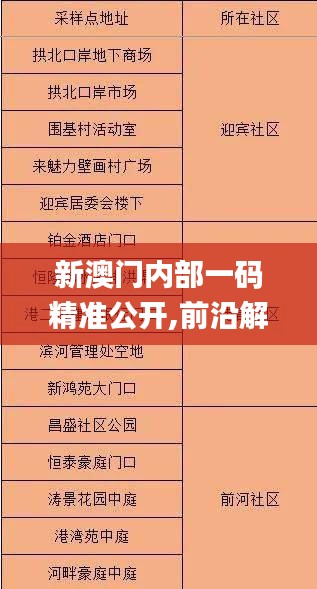 新澳门内部一码精准公开,前沿解析评估_复刻版45.219