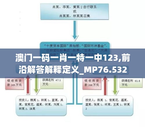 澳门一码一肖一特一中123,前沿解答解释定义_MP76.532