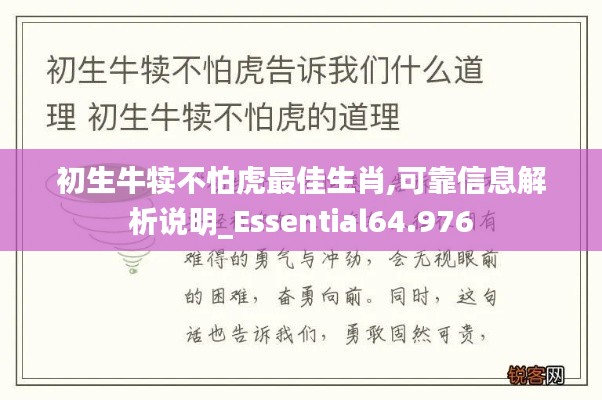 初生牛犊不怕虎最佳生肖,可靠信息解析说明_Essential64.976