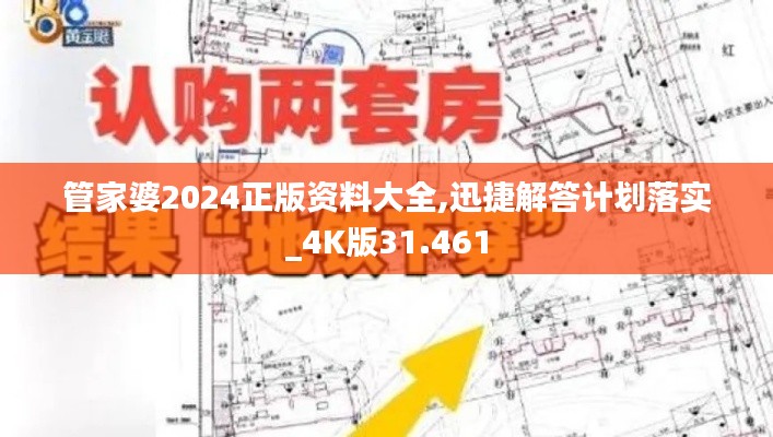 管家婆2024正版资料大全,迅捷解答计划落实_4K版31.461