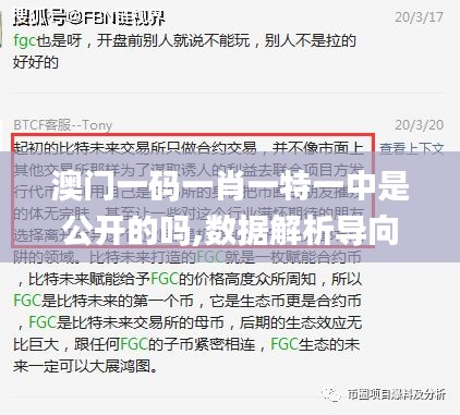 澳门一码一肖一特一中是公开的吗,数据解析导向计划_BT88.426