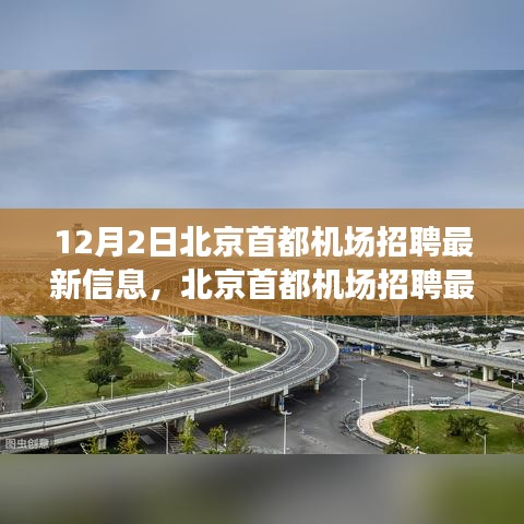 走马观花 第12页
