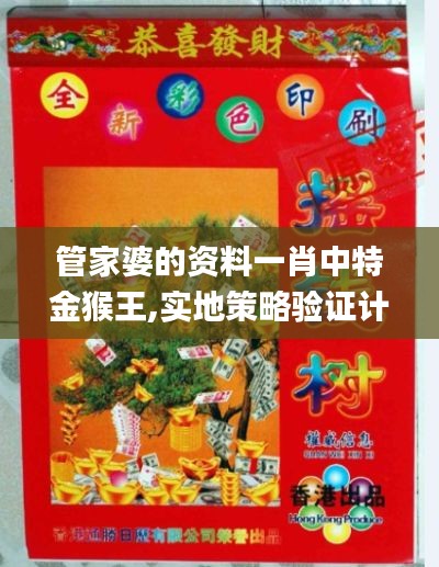管家婆的资料一肖中特金猴王,实地策略验证计划_复古版67.895