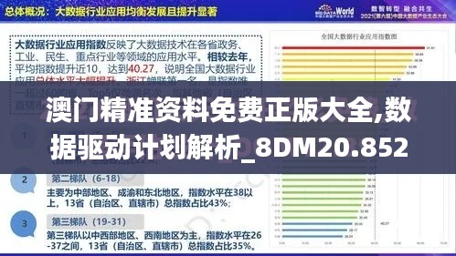 澳门精准资料免费正版大全,数据驱动计划解析_8DM20.852
