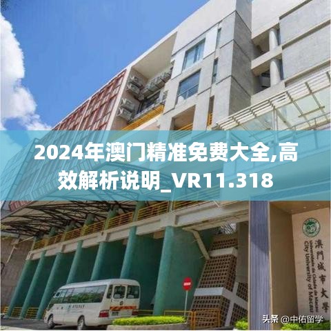 2024年澳门精准免费大全,高效解析说明_VR11.318