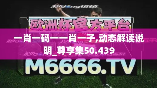 一肖一码一一肖一子,动态解读说明_尊享集50.439