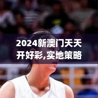 2024新澳门天天开好彩,实地策略验证计划_Hybrid68.514