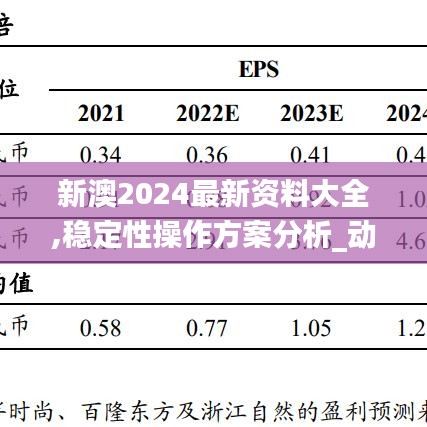 新澳2024最新资料大全,稳定性操作方案分析_动态版91.646