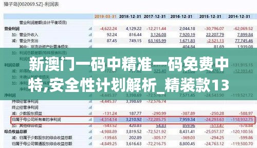 新澳门一码中精准一码免费中特,安全性计划解析_精装款13.260