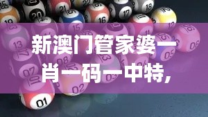 新澳门管家婆一肖一码一中特,精准解答解释定义_感受版22.423