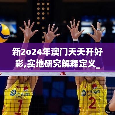 新2o24年澳门天天开好彩,实地研究解释定义_W80.327